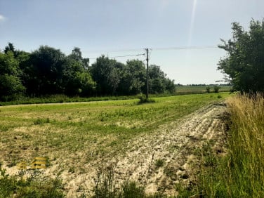 Działka Krężnica Jara