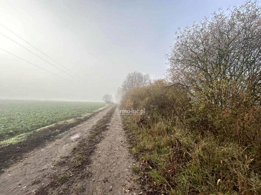 Działka Ulim
