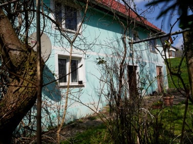 Dom Dobków