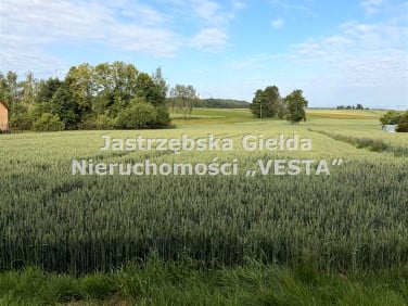 Działka budowlana Pawłowice
