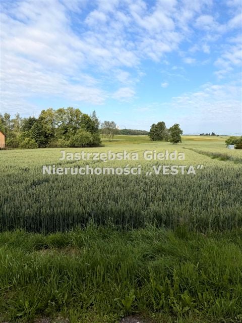 Działka budowlana Pawłowice