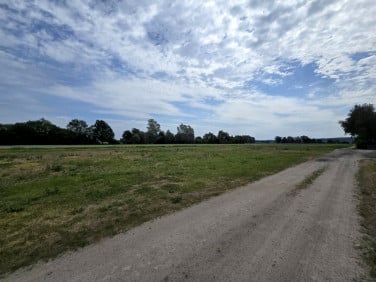 Działka rolna Nowe Dobra