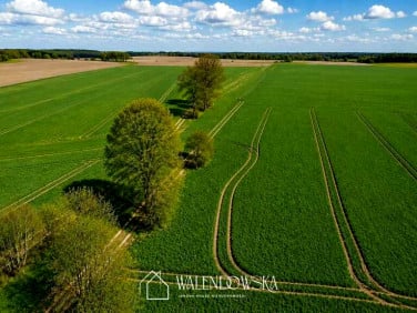 Działka Łabiszewo