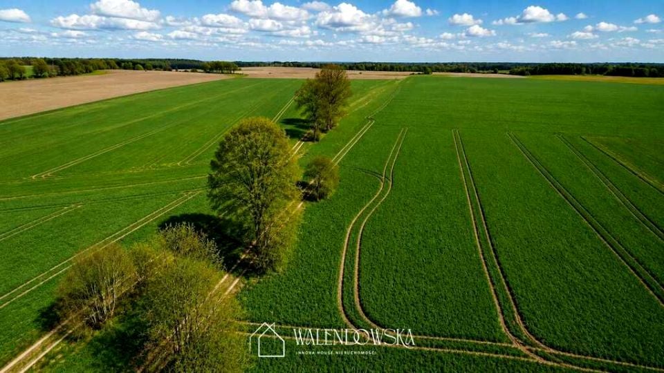 Działka Łabiszewo