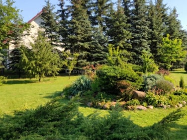 Ogrodzona działka sprzedam