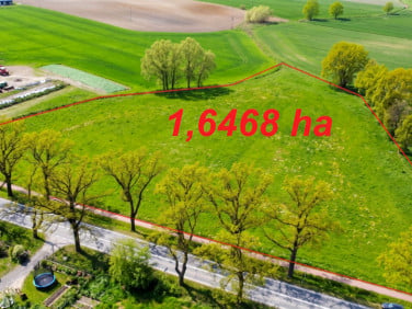 Działka Borówno