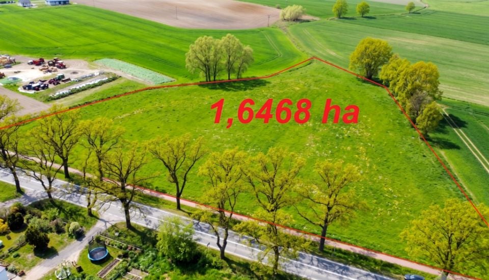 Działka Borówno
