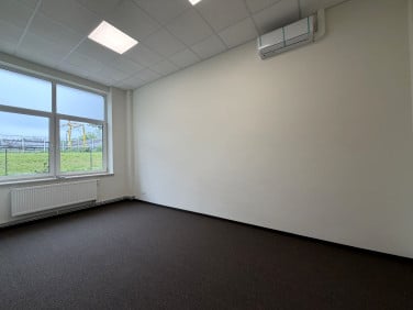 Lokal Rzeszów wynajem