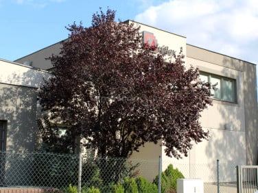 Budynek użytkowy Tomaszów Mazowiecki