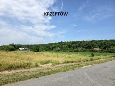 Działka siedliskowa Krzeptów