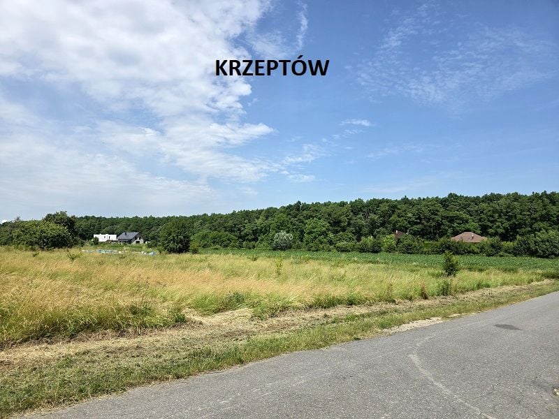 Działka siedliskowa Krzeptów