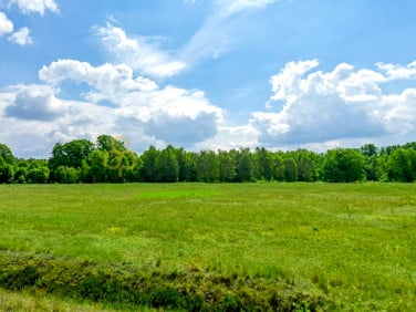 Działka inna Mieszków