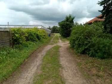 Działka Kokanin