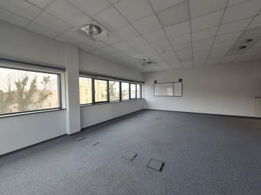 Lokal Wrocław