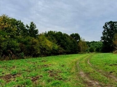 Działka nad jeziorem