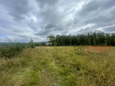 Działka rolna Sade Budy