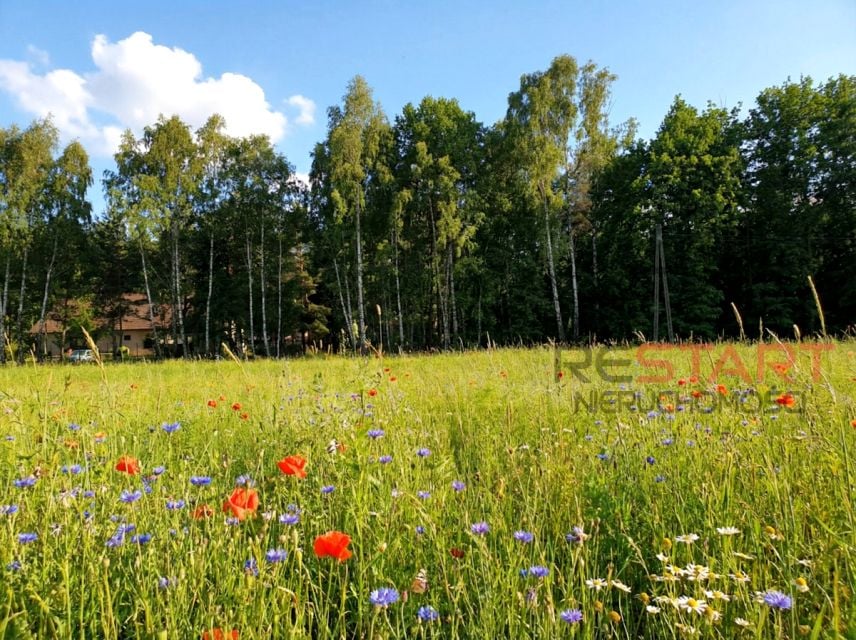 Działka budowlana Adamów-Parcel