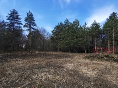 Działka inna Książenice