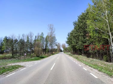 Działka usługowa Piotrkowice