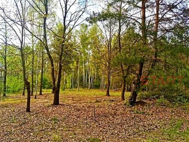Działka budowlana Książenice
