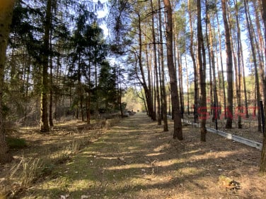 Działka rekreacyjna Siestrzeń