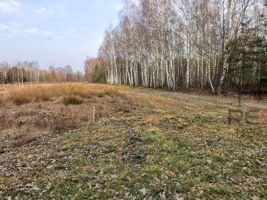 Działka budowlana Zalesie