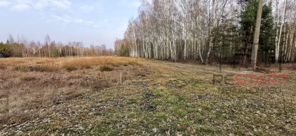 Działka budowlana Zalesie