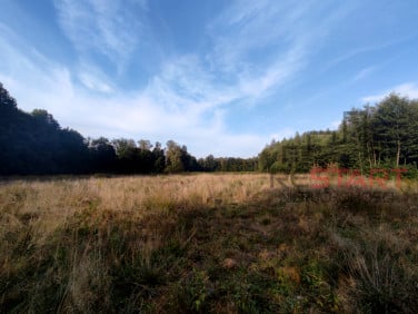 Działka budowlana Benenard sprzedam