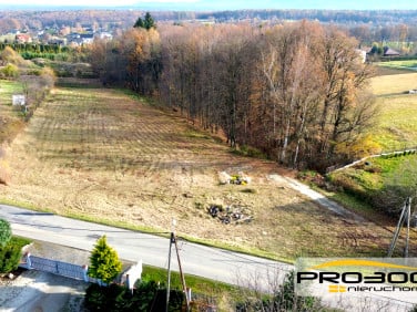 Działka usługowa Pisarzowice