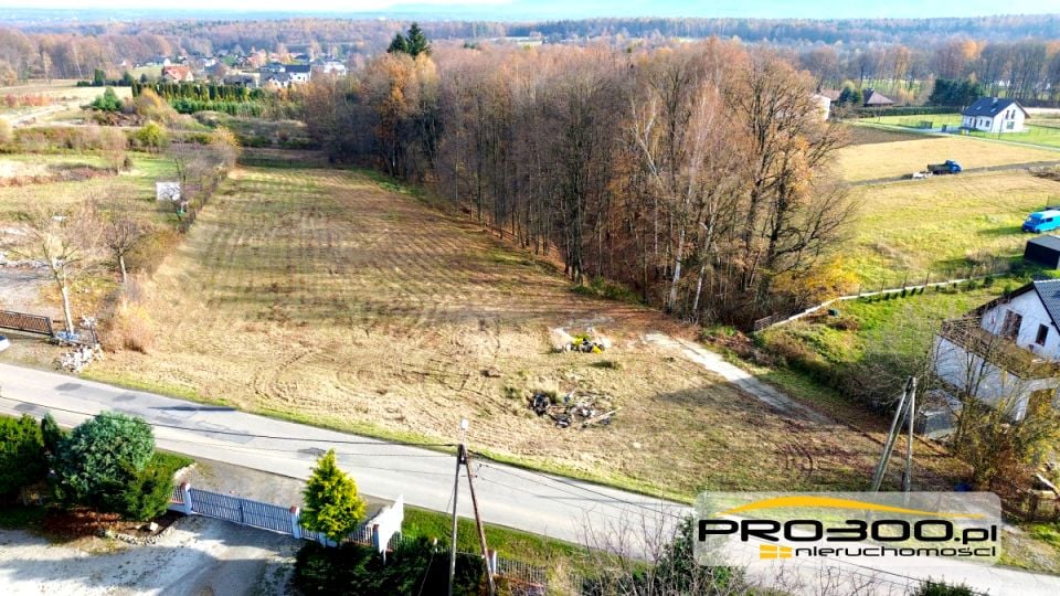 Działka usługowa Pisarzowice