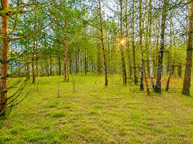 Działka Władków
