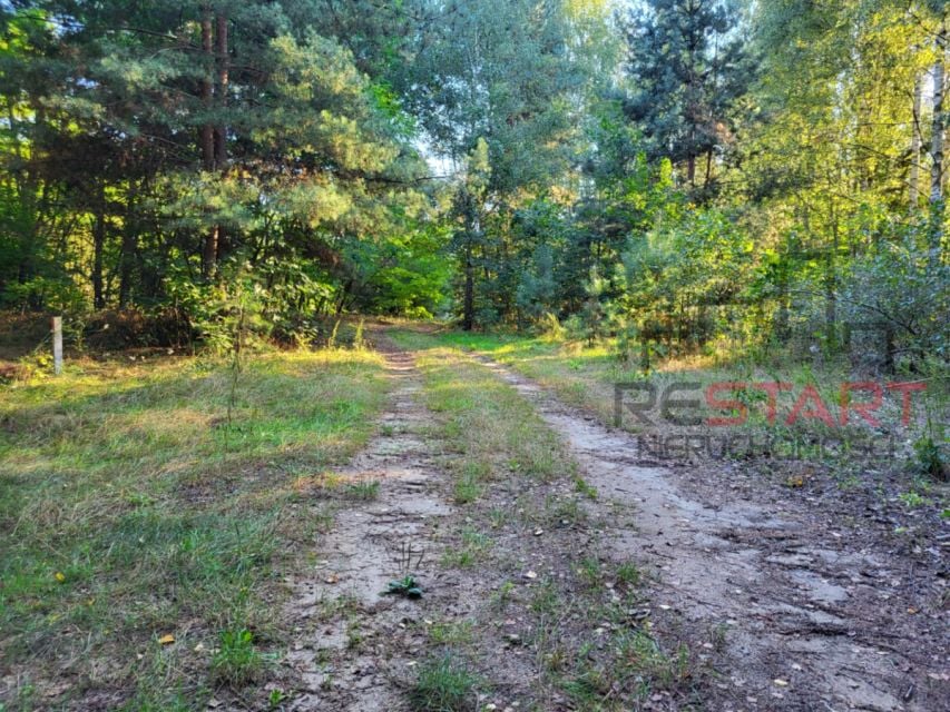 Działka Borszyce