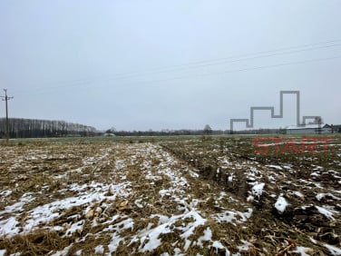 Działka rolna Studzieniec