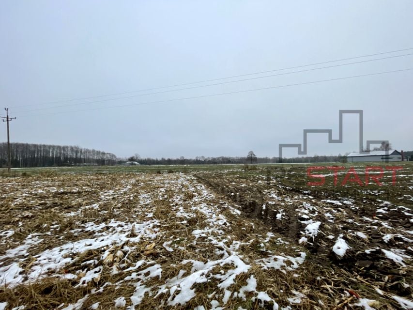 Działka rolna Studzieniec