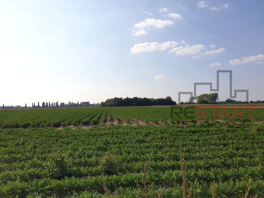 Działka rolna Żuków
