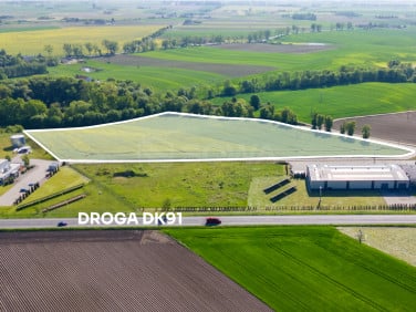 Działka nad jeziorem