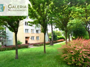 Mieszkanie Elbląg