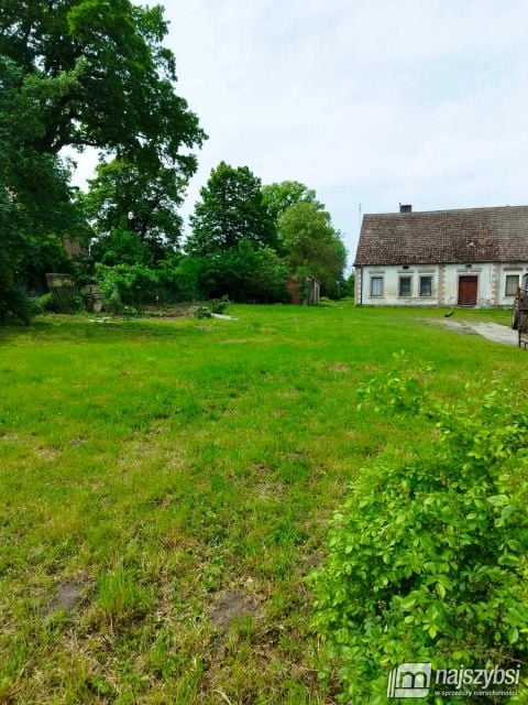 Dom Trzebiatów