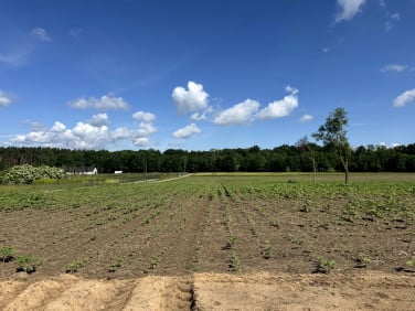 Działka budowlana Kaźmierz sprzedam