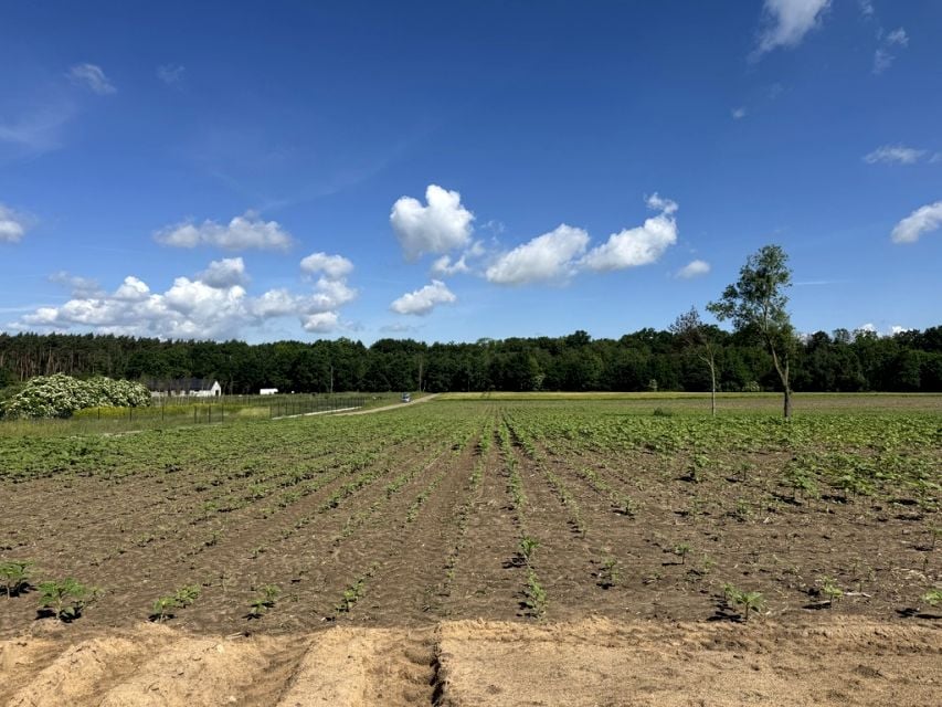 Działka budowlana Kaźmierz sprzedam