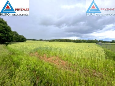 Działka Gady