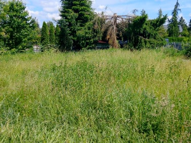 Działka rekreacyjna Strykowo