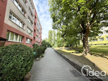 Mieszkanie Szczecin