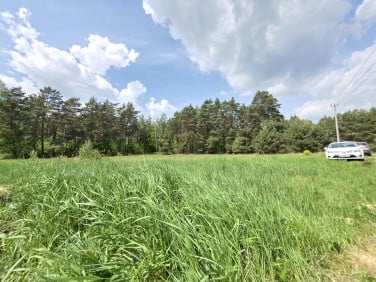 Działka Bieńki-Śmietanki