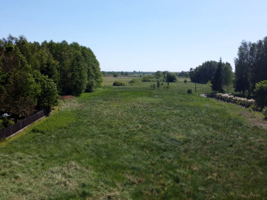 Działka Opoczno