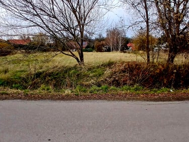 Działka budowlana Brzezina
