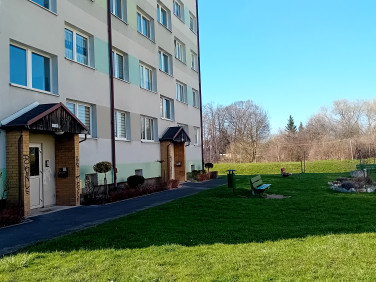Mieszkanie Jelenia Góra