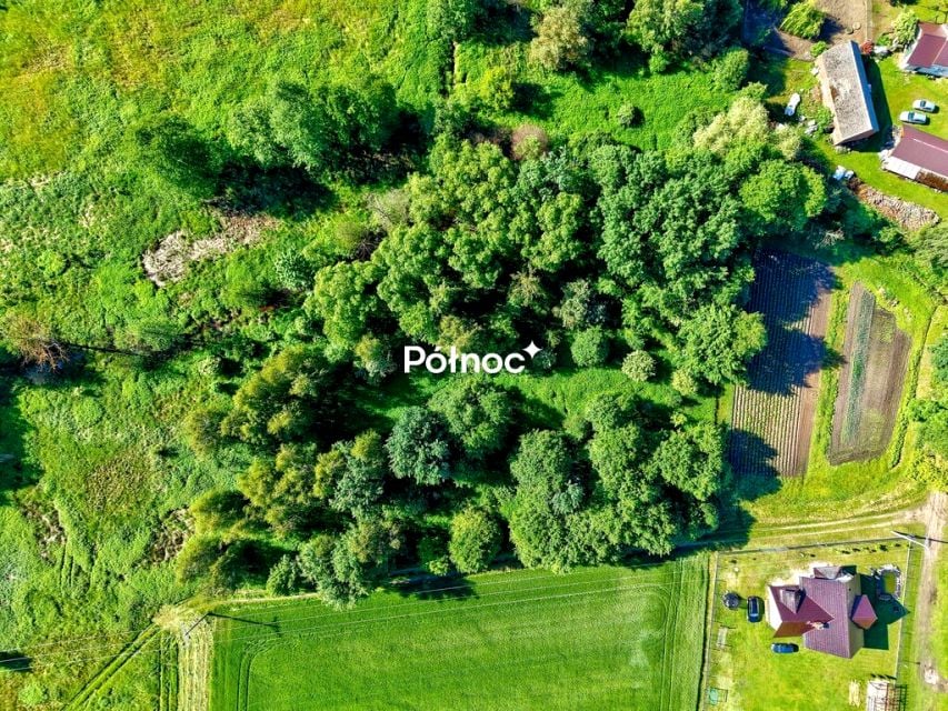 Działka Skoroszów