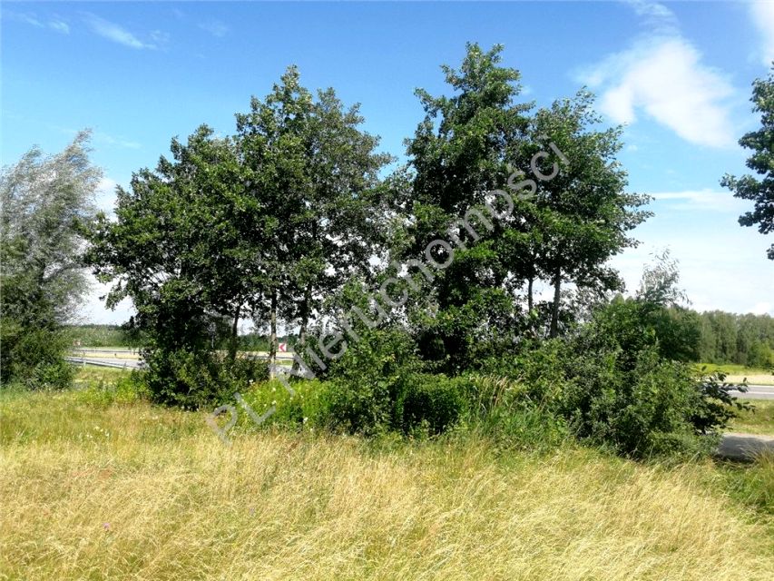 Działka Dobre