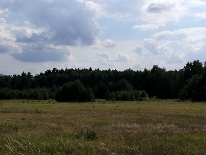 Działka budowlana Polkowice